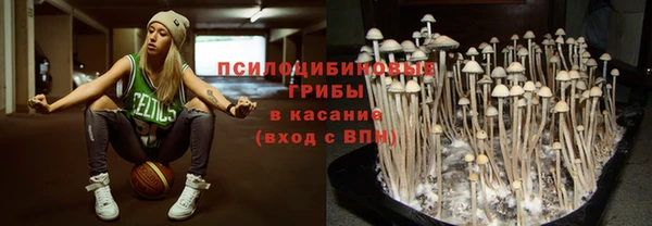 MDMA Беломорск